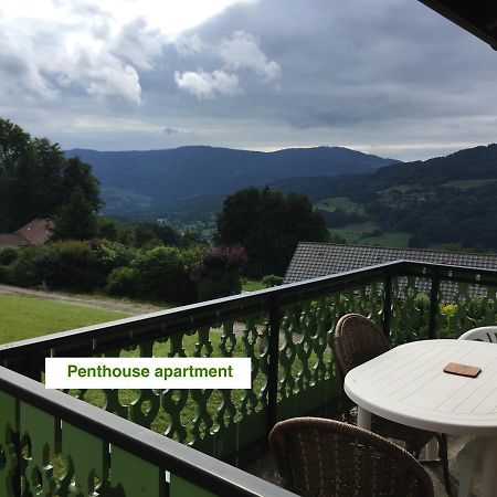Le Green Chalet Villard-sur-Boege Екстериор снимка
