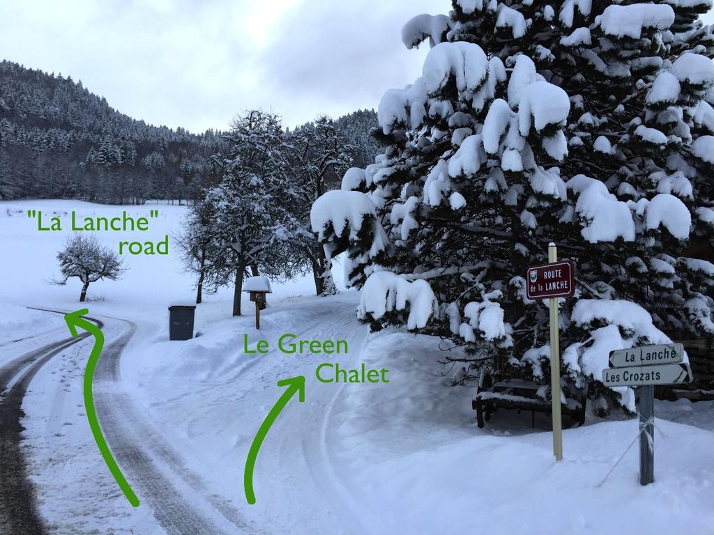 Le Green Chalet Villard-sur-Boege Екстериор снимка