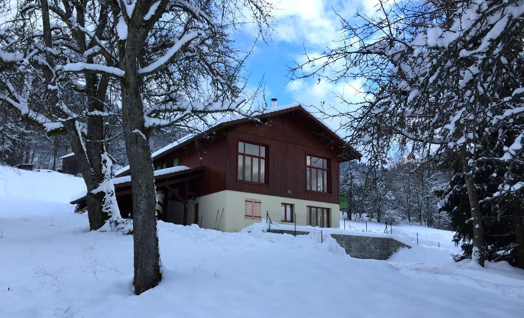 Le Green Chalet Villard-sur-Boege Екстериор снимка