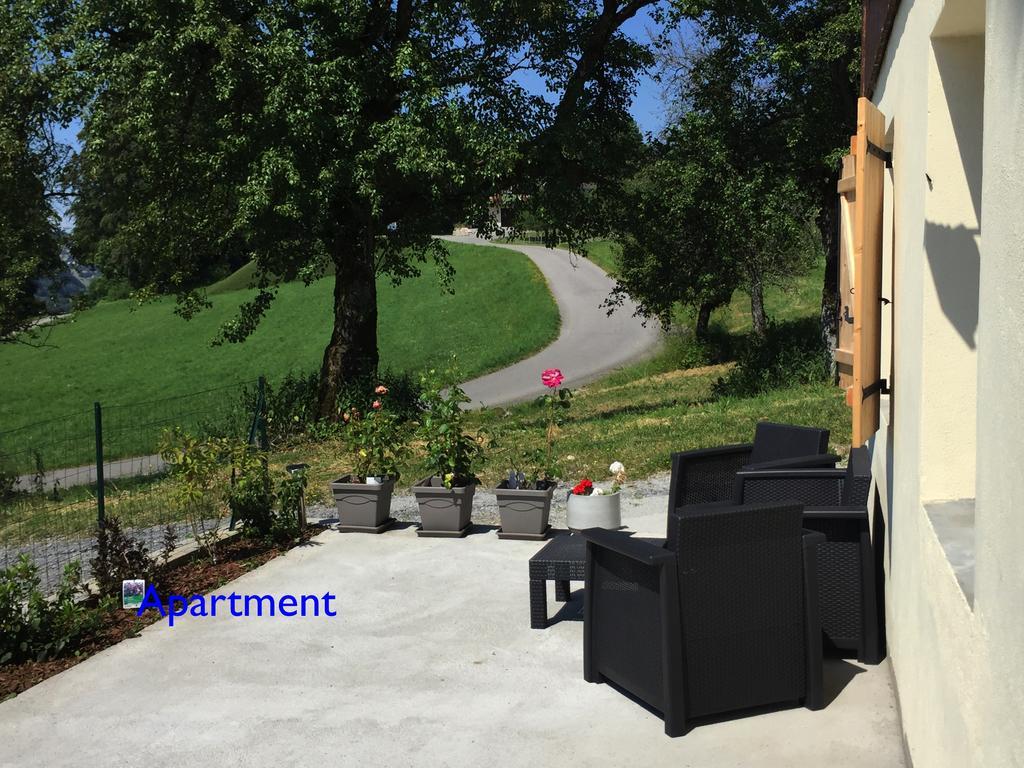 Le Green Chalet Villard-sur-Boege Екстериор снимка