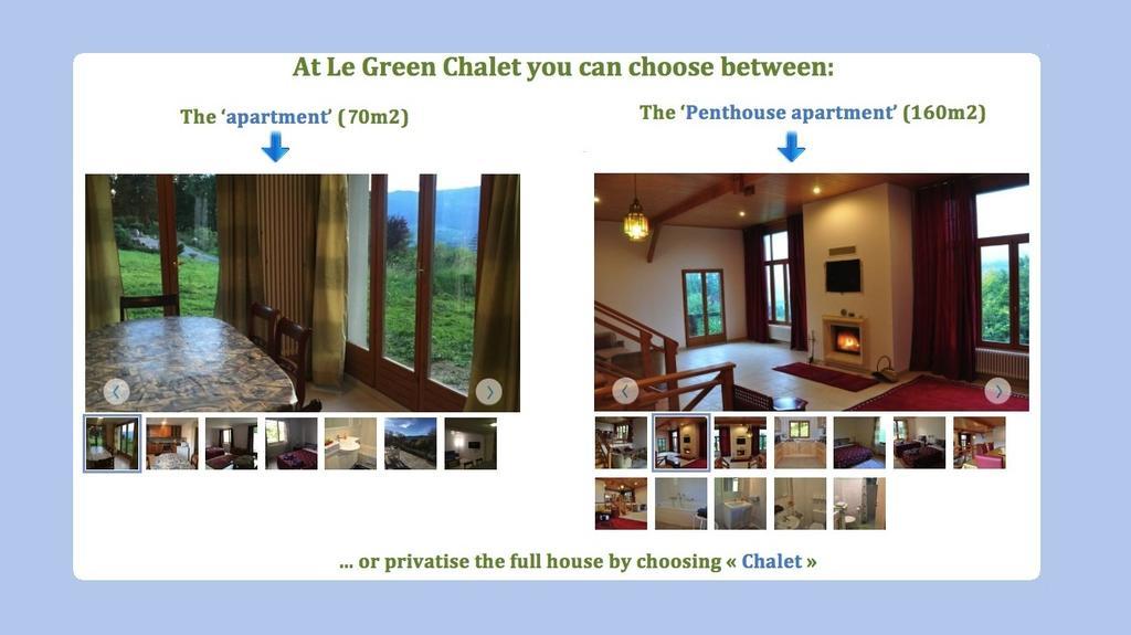 Le Green Chalet Villard-sur-Boege Екстериор снимка