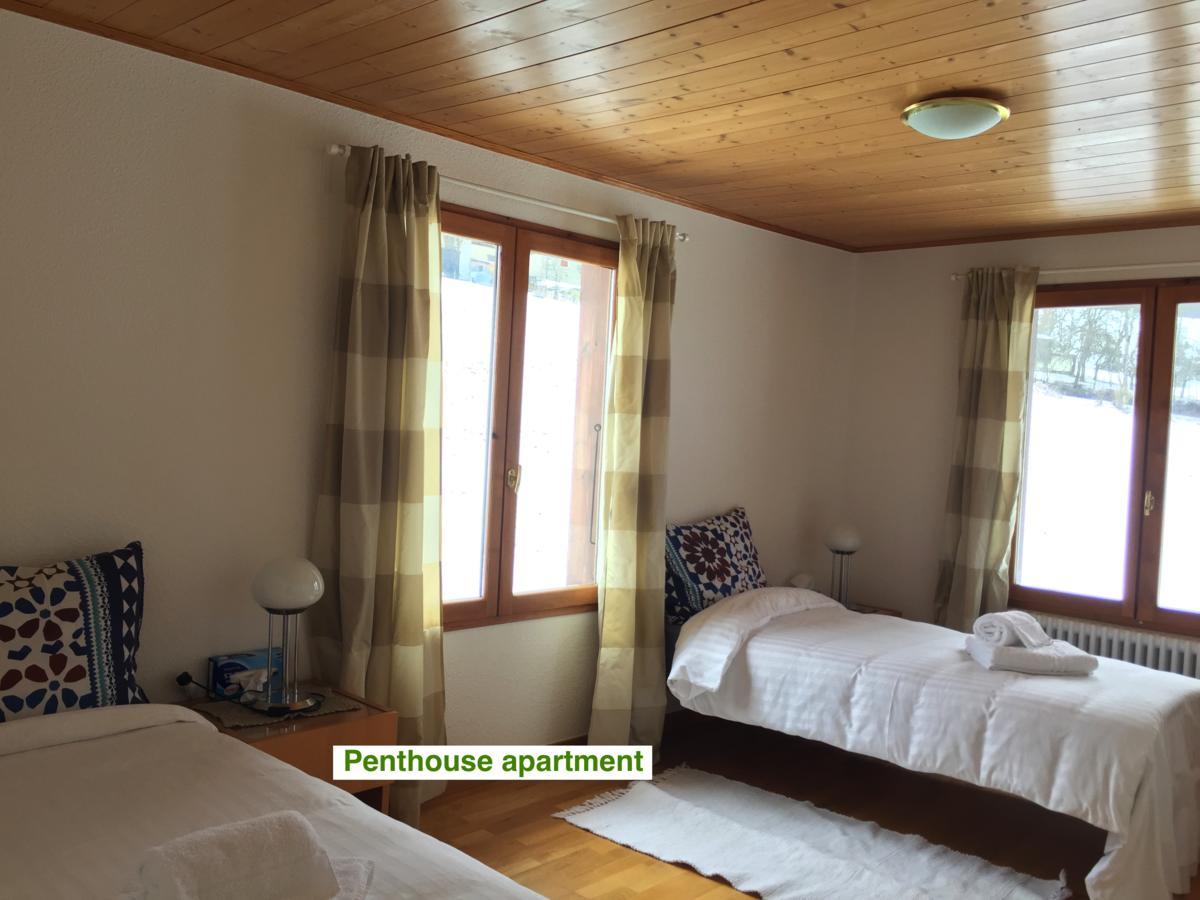 Le Green Chalet Villard-sur-Boege Екстериор снимка