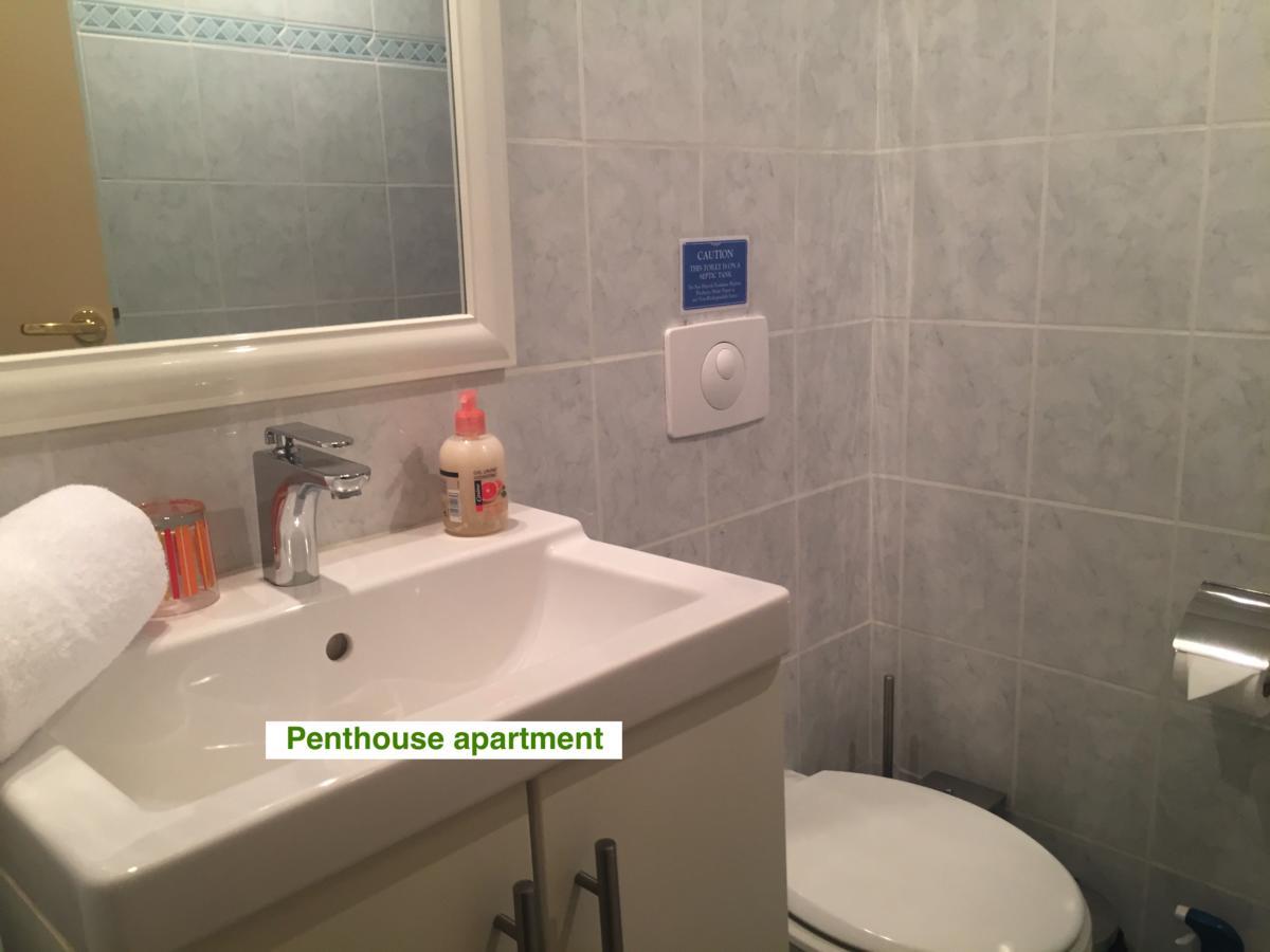 Le Green Chalet Villard-sur-Boege Екстериор снимка