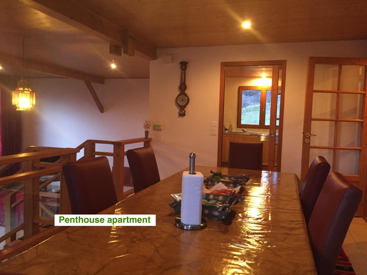 Le Green Chalet Villard-sur-Boege Екстериор снимка