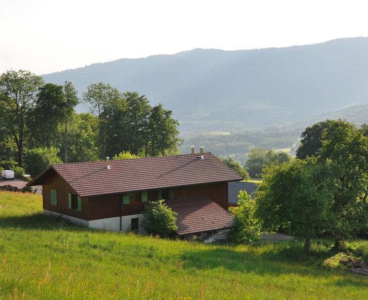 Le Green Chalet Villard-sur-Boege Екстериор снимка