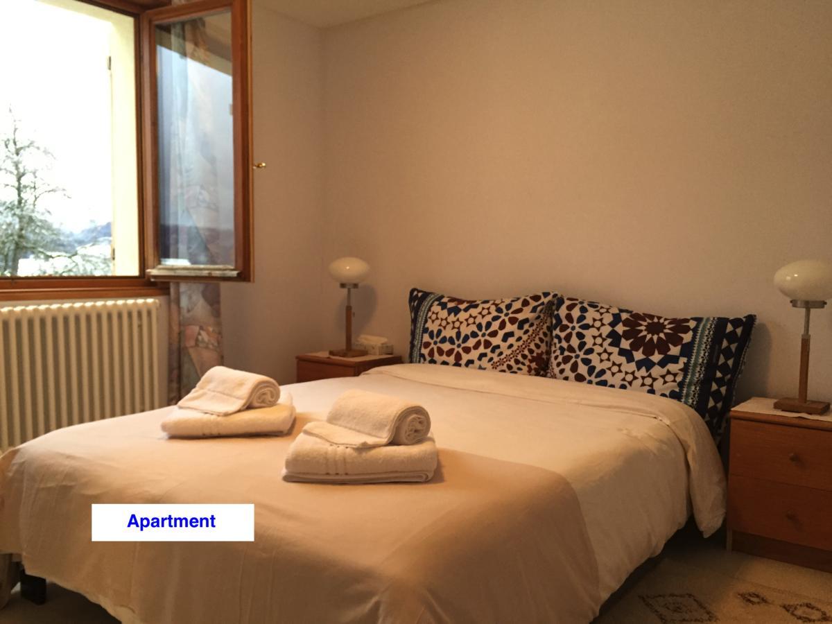 Le Green Chalet Villard-sur-Boege Екстериор снимка