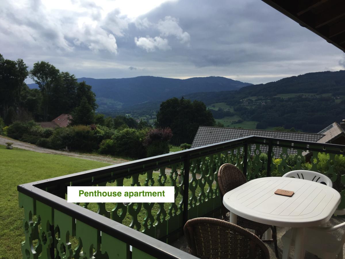 Le Green Chalet Villard-sur-Boege Екстериор снимка