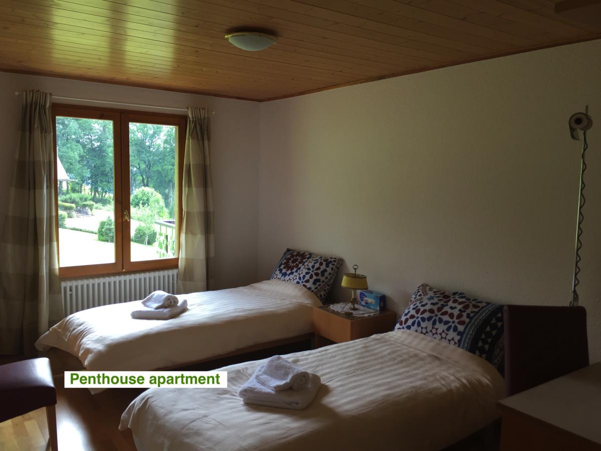 Le Green Chalet Villard-sur-Boege Екстериор снимка