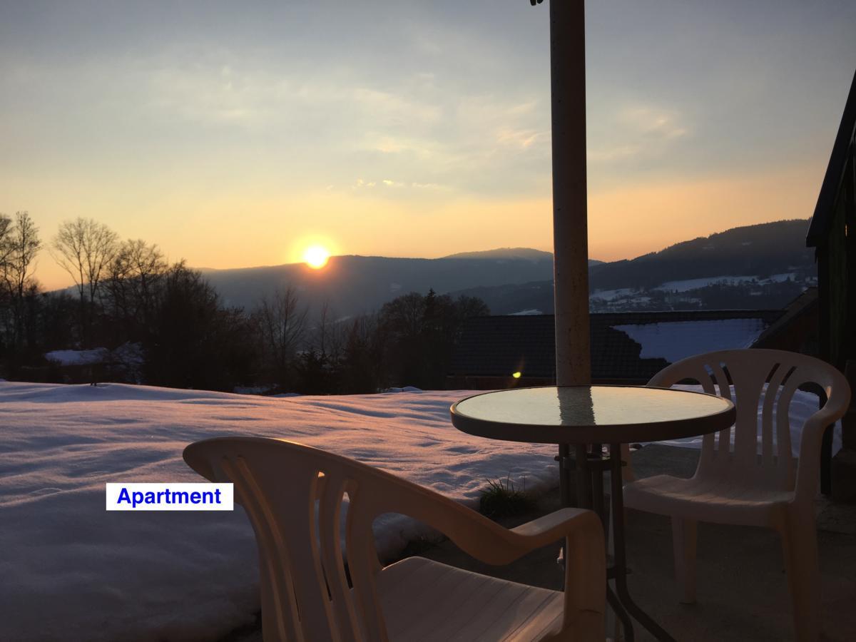 Le Green Chalet Villard-sur-Boege Екстериор снимка