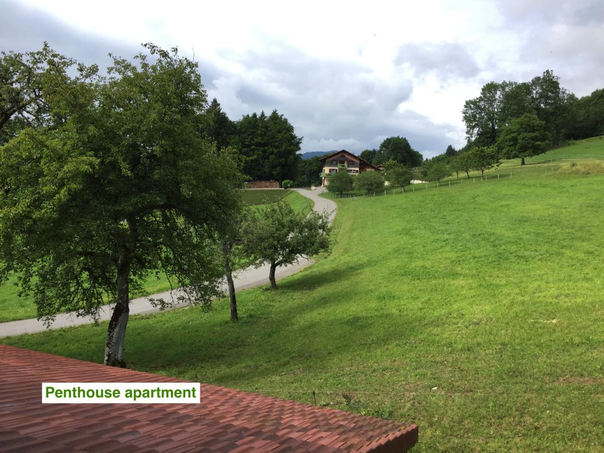 Le Green Chalet Villard-sur-Boege Екстериор снимка