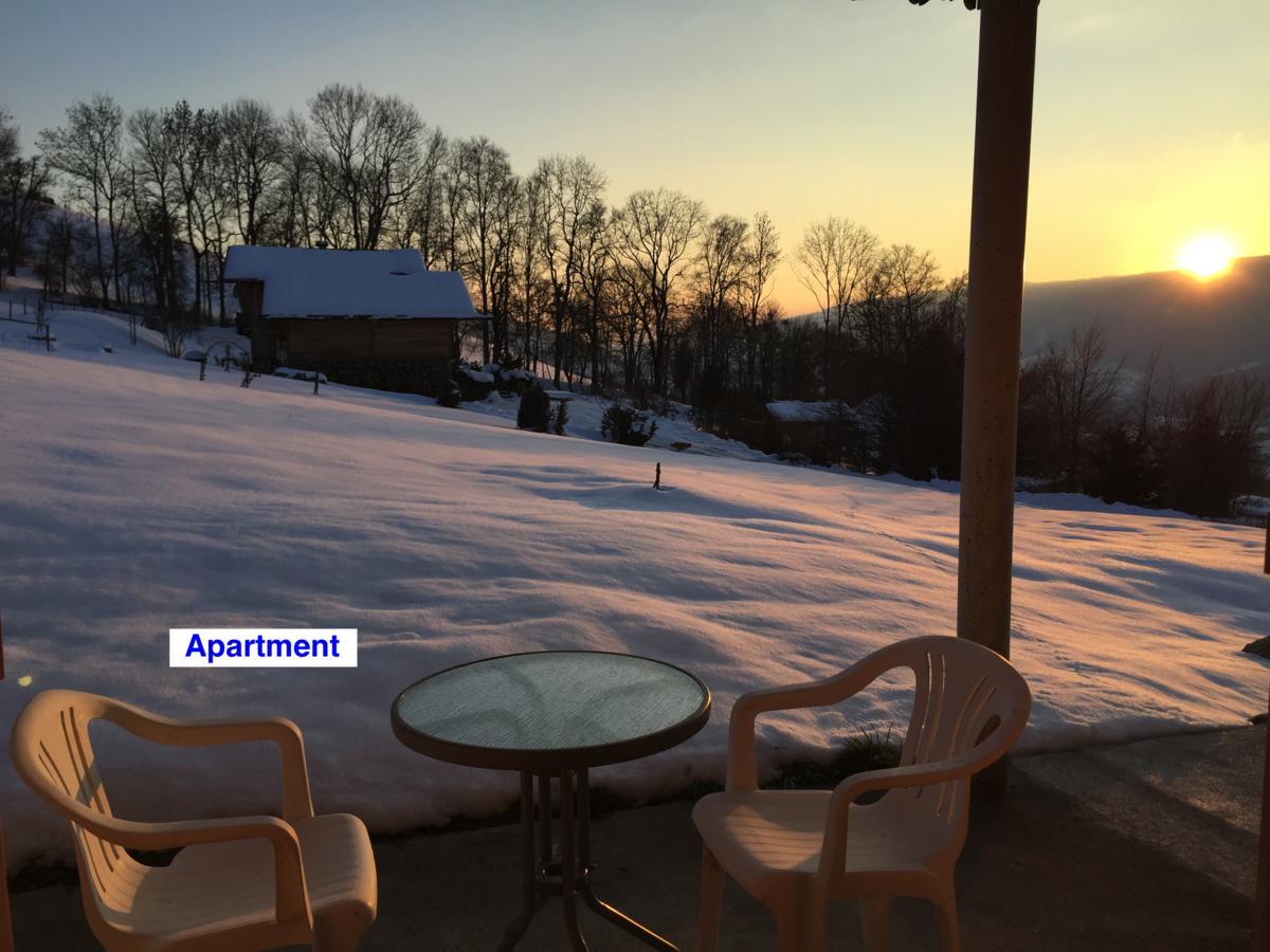 Le Green Chalet Villard-sur-Boege Екстериор снимка